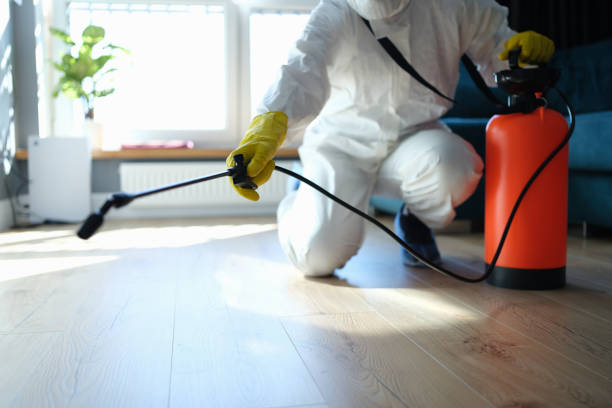 Reliable Unattended Death Cleanup contractor in Wilseyville, CA by Trauma Clean Pros